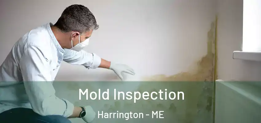 Mold Inspection Harrington - ME