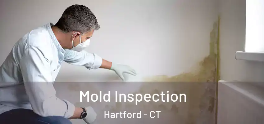 Mold Inspection Hartford - CT