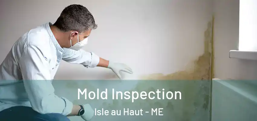  Mold Inspection Isle au Haut - ME