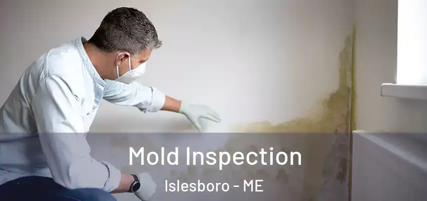  Mold Inspection Islesboro - ME