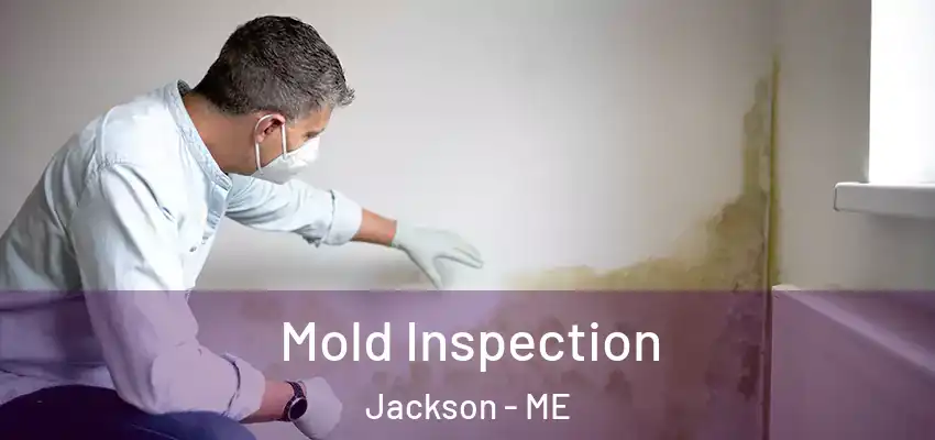 Mold Inspection Jackson - ME