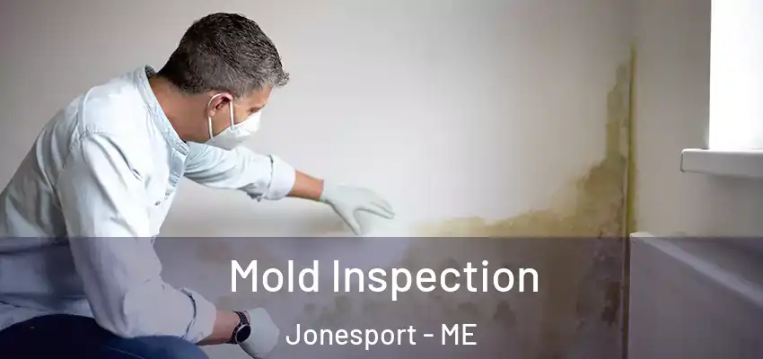  Mold Inspection Jonesport - ME