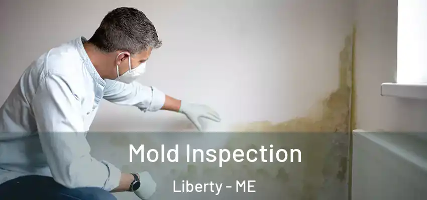  Mold Inspection Liberty - ME