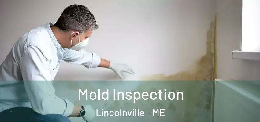 Mold Inspection Lincolnville - ME