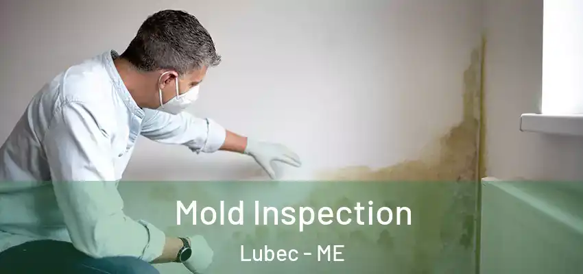 Mold Inspection Lubec - ME