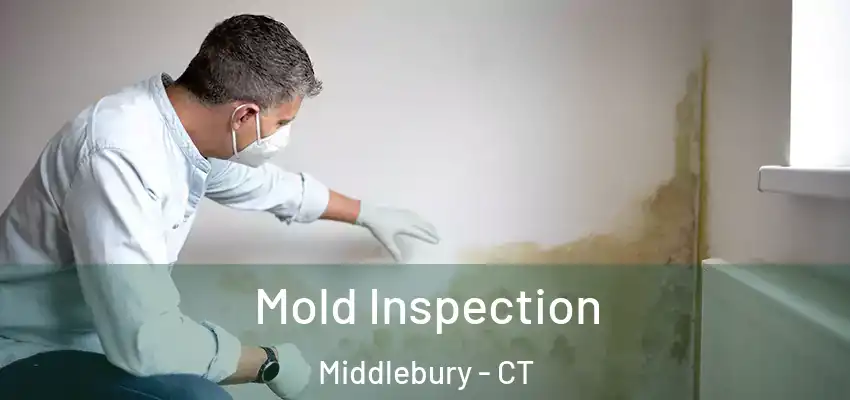 Mold Inspection Middlebury - CT