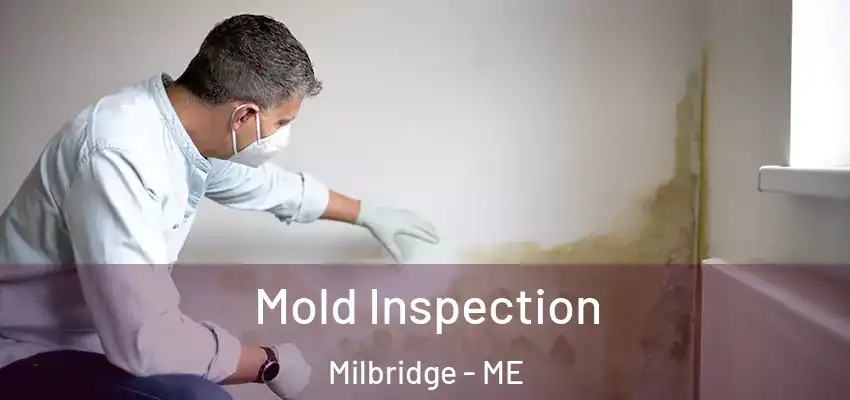 Mold Inspection Milbridge - ME