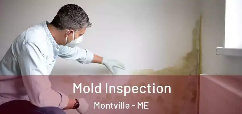 Mold Inspection Montville - ME