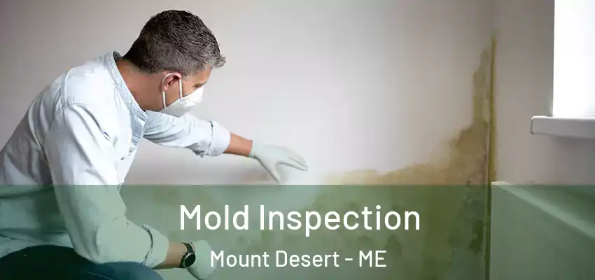 Mold Inspection Mount Desert - ME