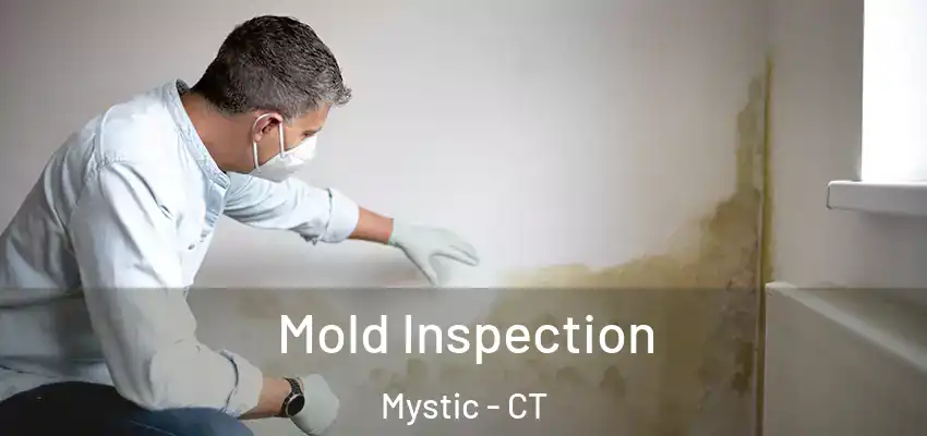 Mold Inspection Mystic - CT