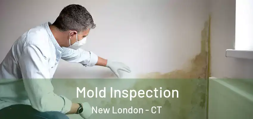 Mold Inspection New London - CT