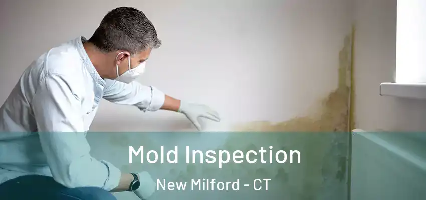 Mold Inspection New Milford - CT