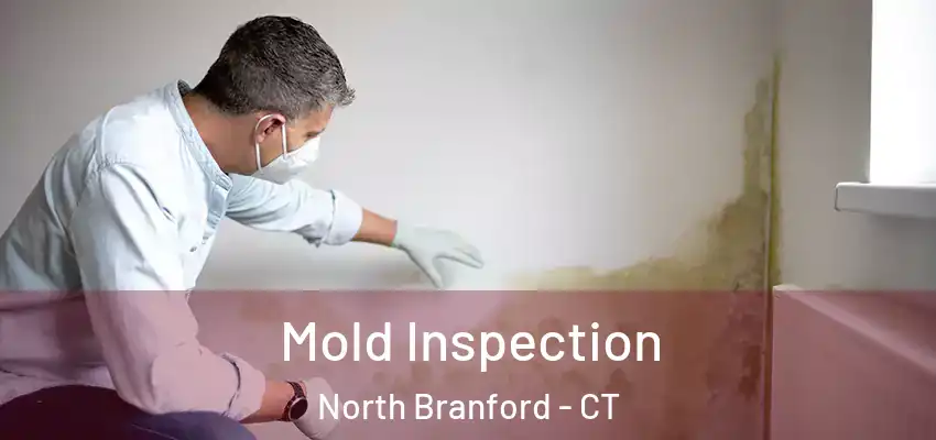 Mold Inspection North Branford - CT