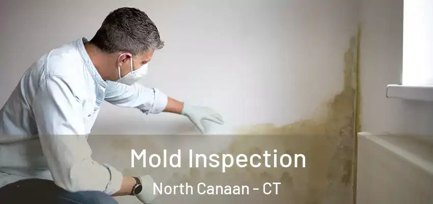  Mold Inspection North Canaan - CT