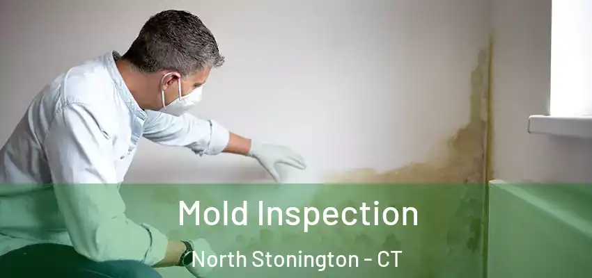 Mold Inspection North Stonington - CT
