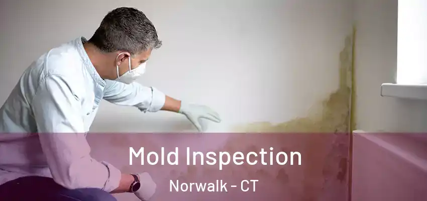 Mold Inspection Norwalk - CT