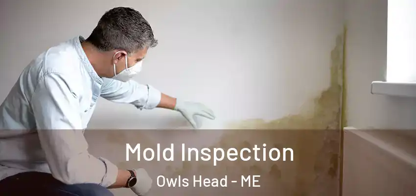  Mold Inspection Owls Head - ME