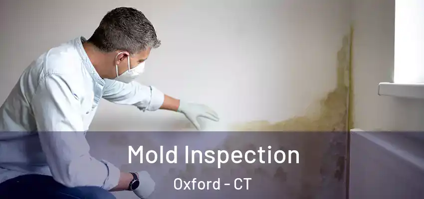 Mold Inspection Oxford - CT