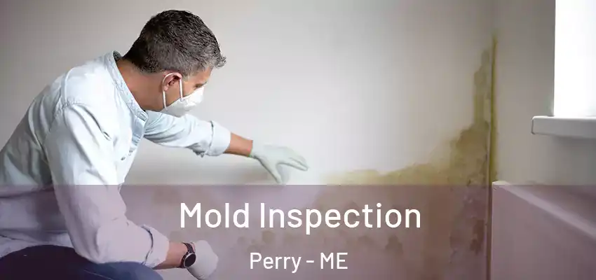 Mold Inspection Perry - ME