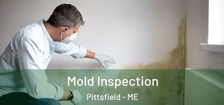  Mold Inspection Pittsfield - ME