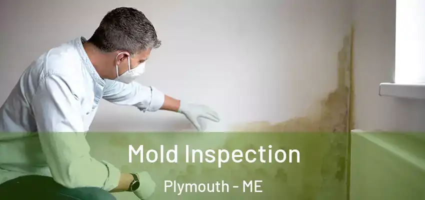 Mold Inspection Plymouth - ME