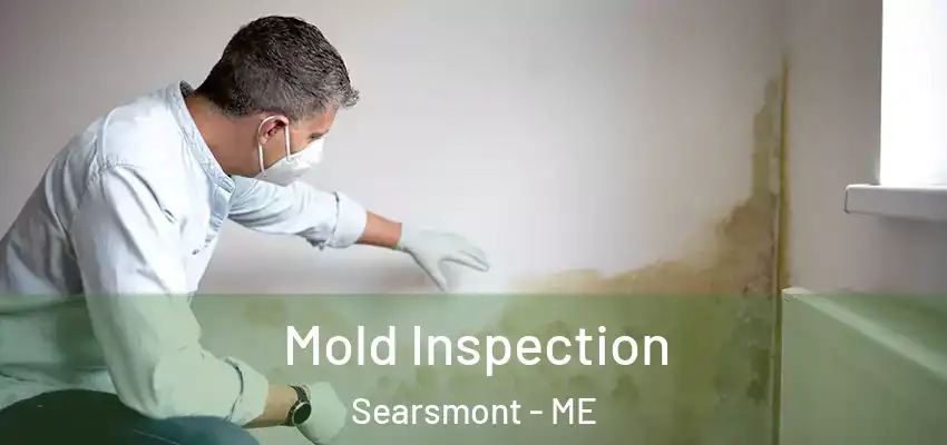  Mold Inspection Searsmont - ME