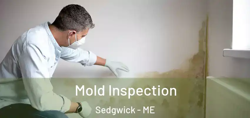 Mold Inspection Sedgwick - ME