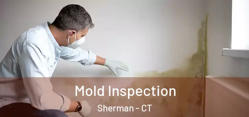 Mold Inspection Sherman - CT