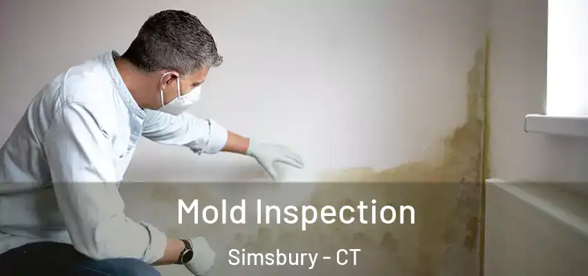  Mold Inspection Simsbury - CT
