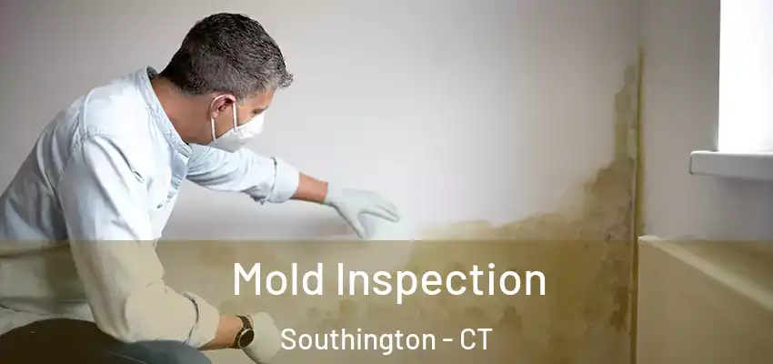 Mold Inspection Southington - CT