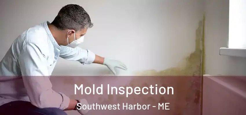  Mold Inspection Southwest Harbor - ME