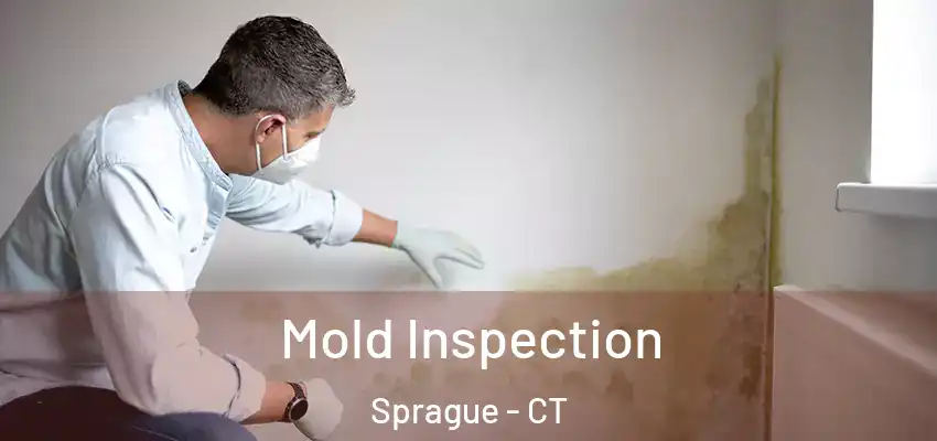 Mold Inspection Sprague - CT