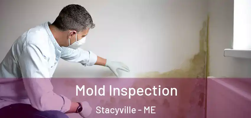  Mold Inspection Stacyville - ME