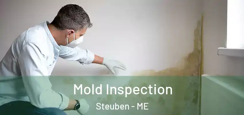 Mold Inspection Steuben - ME