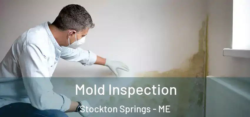 Mold Inspection Stockton Springs - ME