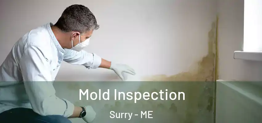 Mold Inspection Surry - ME