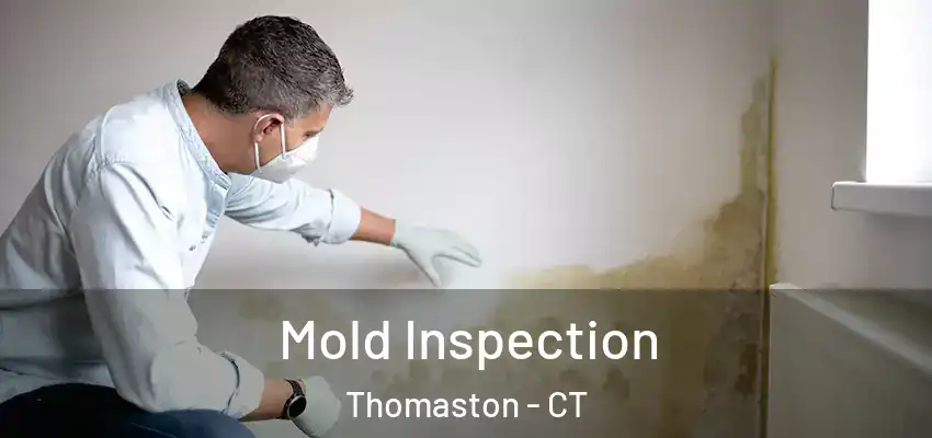  Mold Inspection Thomaston - CT