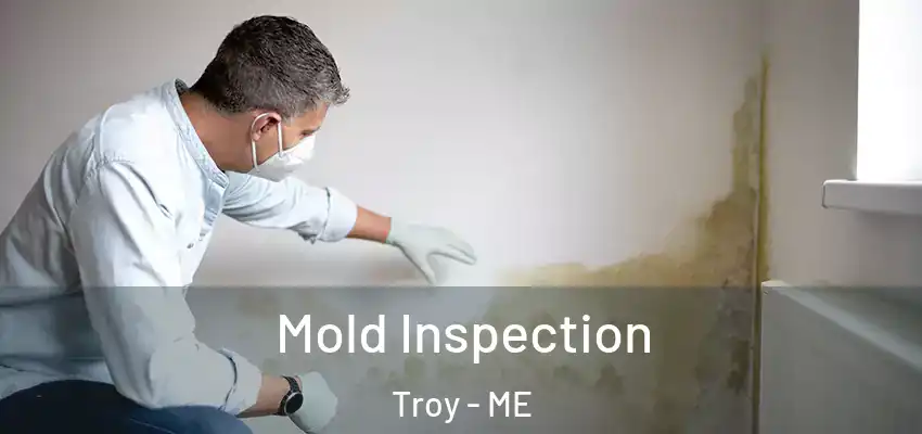 Mold Inspection Troy - ME