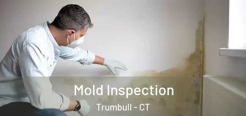 Mold Inspection Trumbull - CT