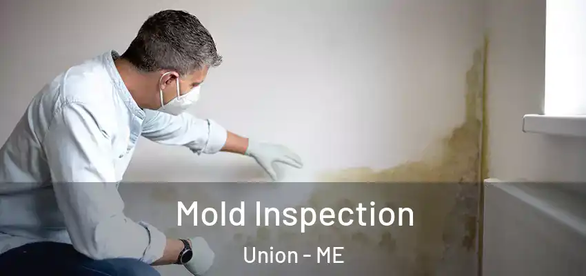 Mold Inspection Union - ME