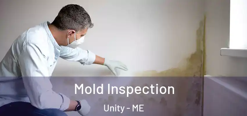 Mold Inspection Unity - ME