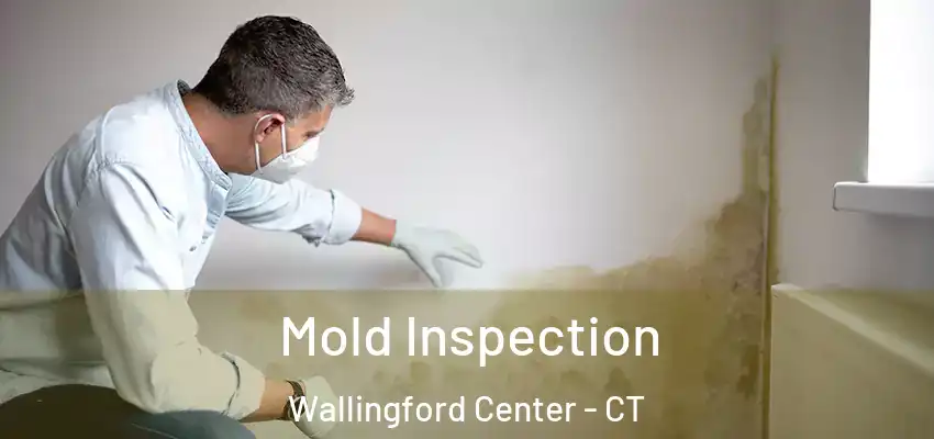  Mold Inspection Wallingford Center - CT