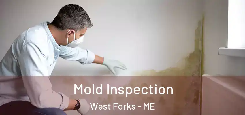  Mold Inspection West Forks - ME