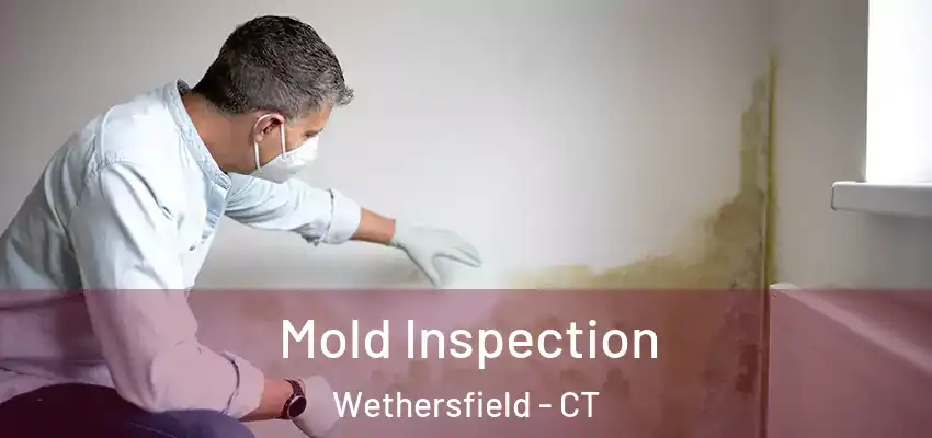 Mold Inspection Wethersfield - CT