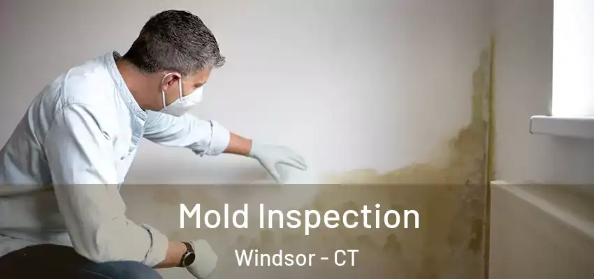 Mold Inspection Windsor - CT