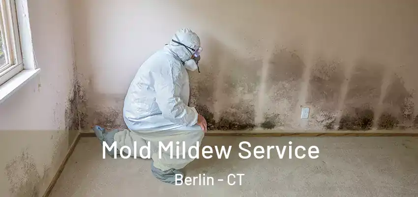  Mold Mildew Service Berlin - CT