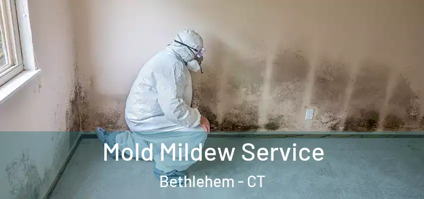  Mold Mildew Service Bethlehem - CT