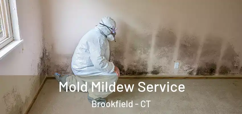  Mold Mildew Service Brookfield - CT