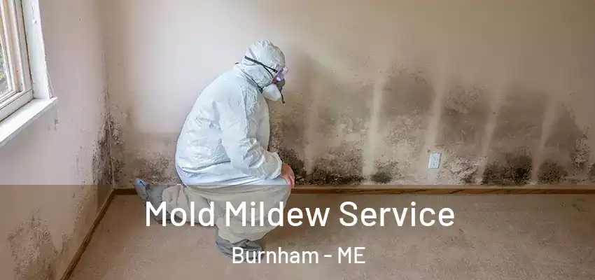  Mold Mildew Service Burnham - ME