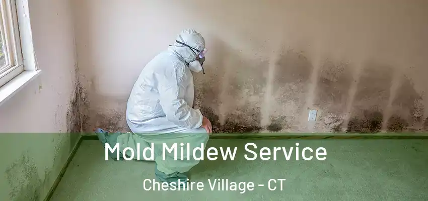Mold Mildew Service Cheshire Village - CT
